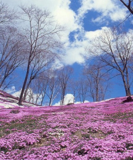 魅力部落北海道 魅力部落北海道