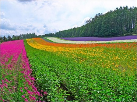 魅力部落北海道 魅力部落北海道