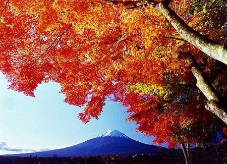 魅力部落北海道 魅力部落北海道