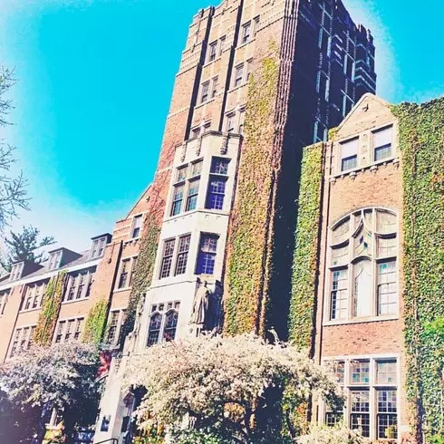 密歇根大学世界排名_密歇根大学